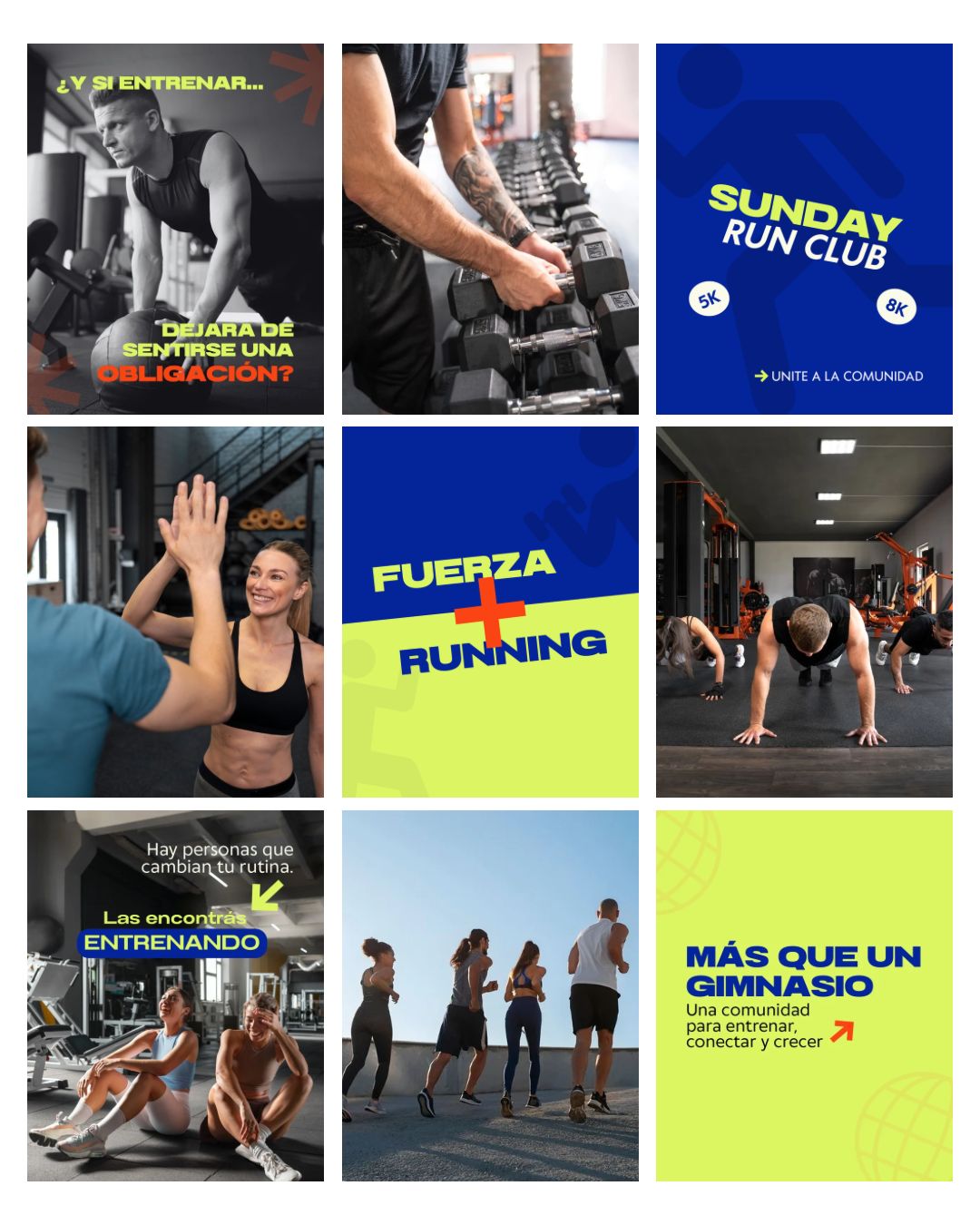 Feed de Instagram — Vita Club